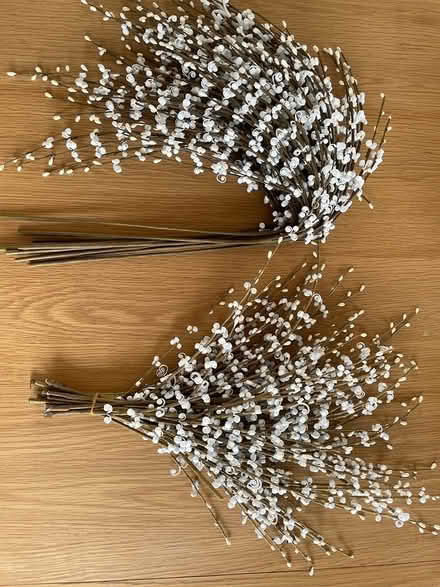 Photo of free Decorative “flowers” (London W9) #1