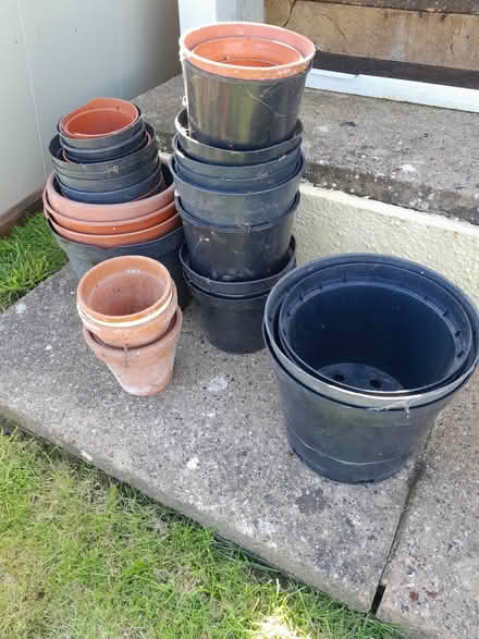 Photo of free Plastic plant pots (Beer) #1
