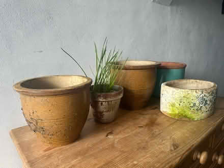 Photo of free Plant pots (Mile Oak BN41) #1