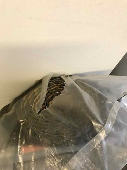 Photo of free Carpet Underlay (Grays RM17) #3