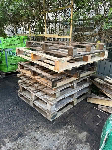 Photo of free 8x wooden pallets, different sizes (Peasedown St John) #1