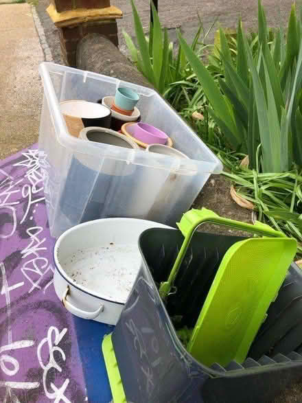 Photo of free baby plants, plant pots & composter (Hanover BN2) #2