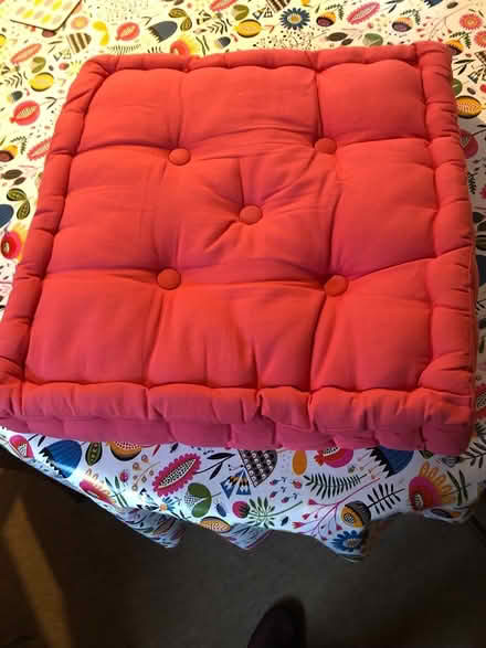 Photo of free Terracotta box armchair cushion (Upton on Severn WR8) #1