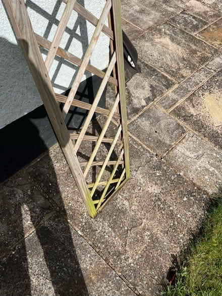 Photo of free Garden Trellis 1800 x 300 (Hayes, BR2) #4