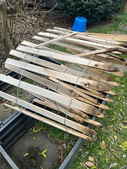 Photo of free Wooden garden fence (Chevy Chase DC) #1