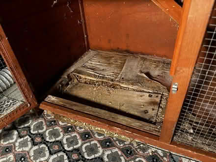 Photo of free Rabbit hutch (Gloucester) #2