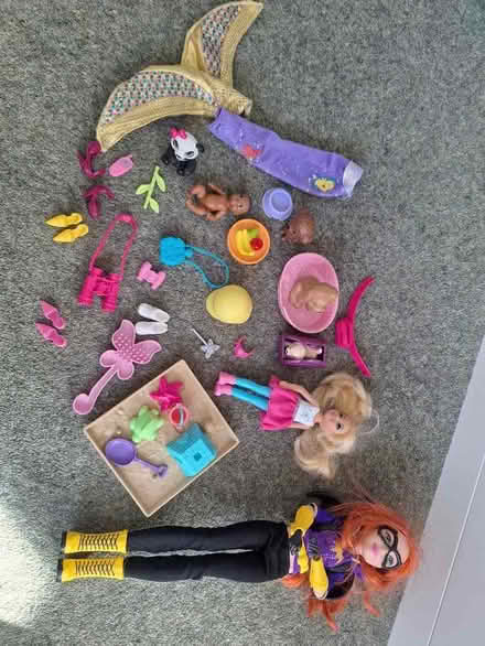 Photo of free Barbie accessories and batgirl doll (Woodley RG5) #1
