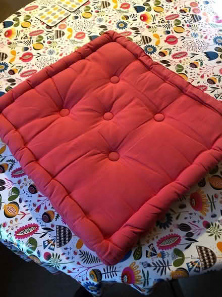 Photo of free Terracotta box armchair cushion (Upton on Severn WR8) #3