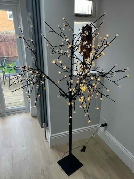 Photo of free Tall light tree (Norbury SW16) #1