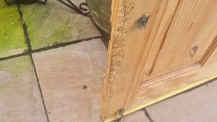 Photo of free 3 Interior Half Glass Doors (CT11) #4