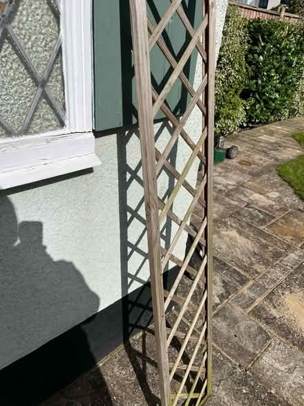 Photo of free Garden Trellis 1800 x 300 (Hayes, BR2) #2