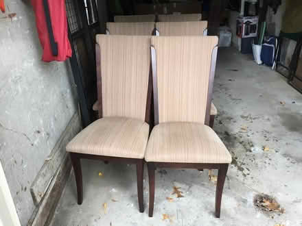 Photo of free 6 Dining room chairs (Newtonville) #1