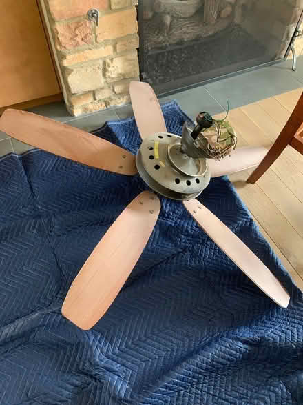 Photo of free 6 ceiling fans (Northcentral Valley) #3
