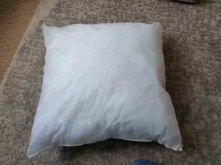 Photo of free Cushion Inner (Bath & North East Somerset) #1