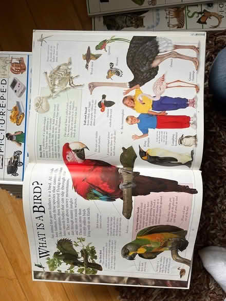 Photo of free Dorling Kindersley kids books (LS7) #2