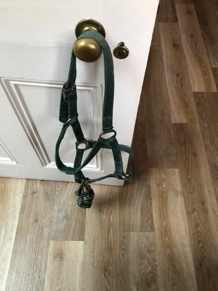 Photo of free Pony stuff - head collar & lead rope (Malvern Link WR14) #1