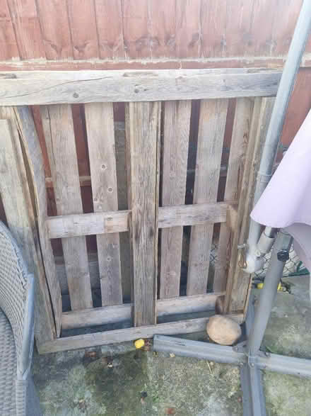 Photo of free Pallet (RM9 Dagenham) #1