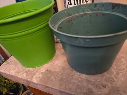 Photo of free For Gardening (West Mississauga) #3