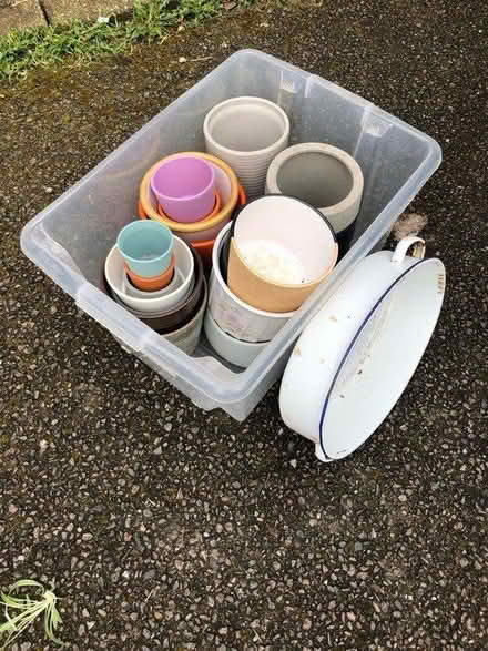 Photo of free baby plants, plant pots & composter (Hanover BN2) #1