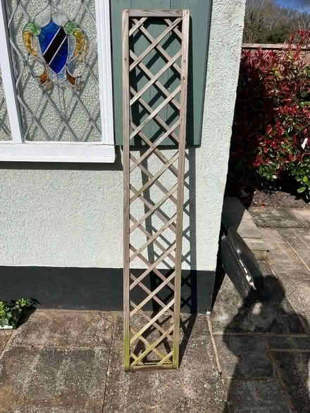 Photo of free Garden Trellis 1800 x 300 (Hayes, BR2) #1