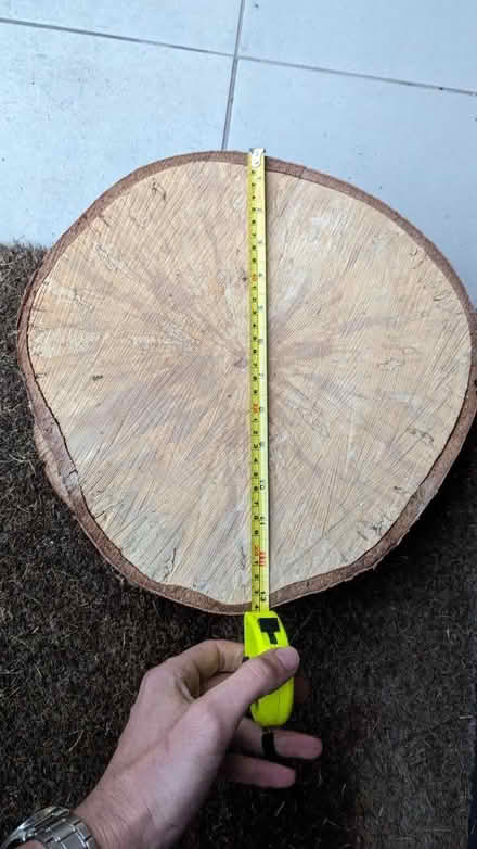 Photo of free Log Slices 3nr. approx 34cm (Ashford - TW15) #3
