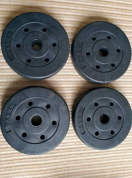 Photo of free 4 x 2.5 kg weights (no handles) (Central Chichester) #1