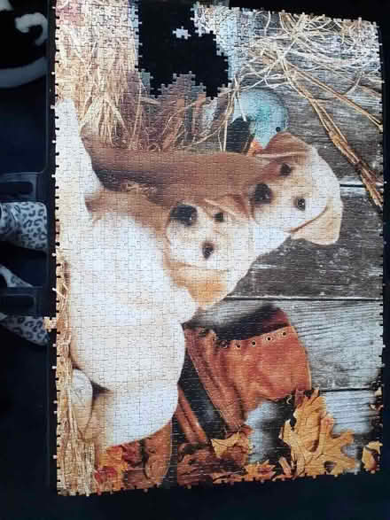 Photo of free Jigsaw (The Fens TS25) #1