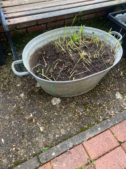 Photo of free Large Planter (Waterlooville) #2