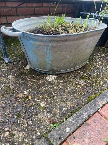 Photo of free Large Planter (Waterlooville) #1