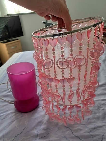 Photo of free Lamp and ceiling light shade (Gosport PO13) #1