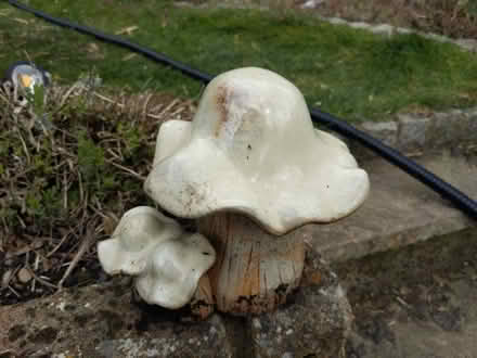 Photo of free Garden ornament (Sothall S20) #1