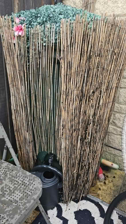 Photo of free V large water butt (Bampton, OX18) #1