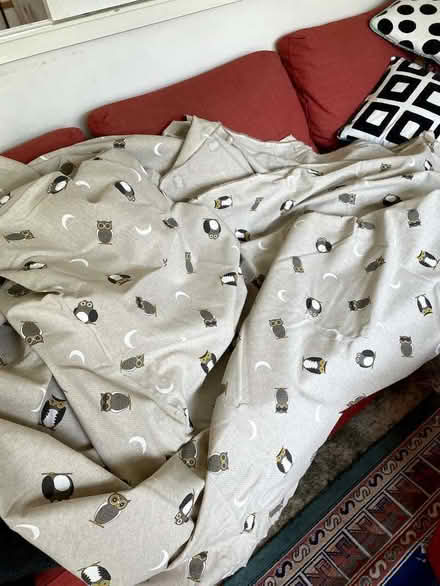 Photo of free Fabric material cotton owl design (Haywards Heath RH16) #1