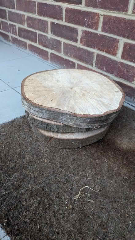 Photo of free Log Slices 3nr. approx 34cm (Ashford - TW15) #1