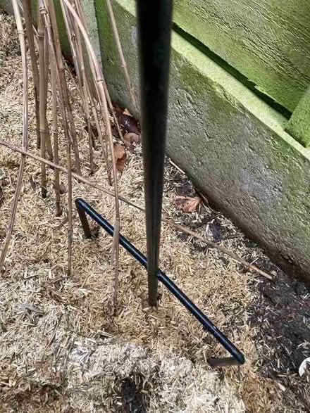 Photo of free Bird feeder good condition (Cam GL11) #1