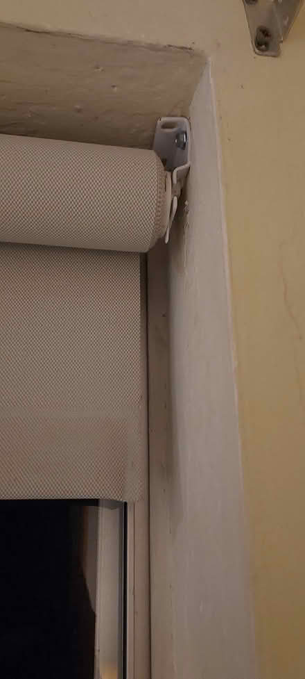 Photo of free Rollup Shades (Palm & El Camino, Burlingame) #1