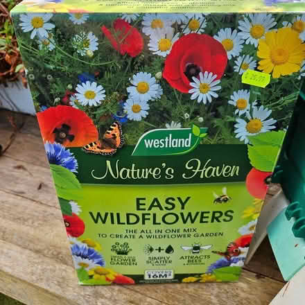 Photo of free Garden/house pots, Wildflower seed (Dublin15 Carpenterstown) #3