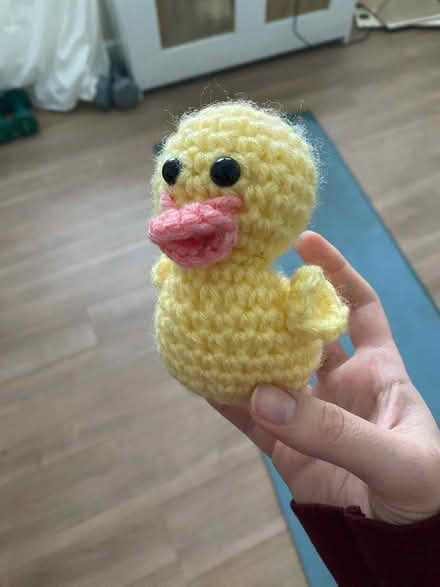Photo of free Handmade crochet ducky (Midwood) #1