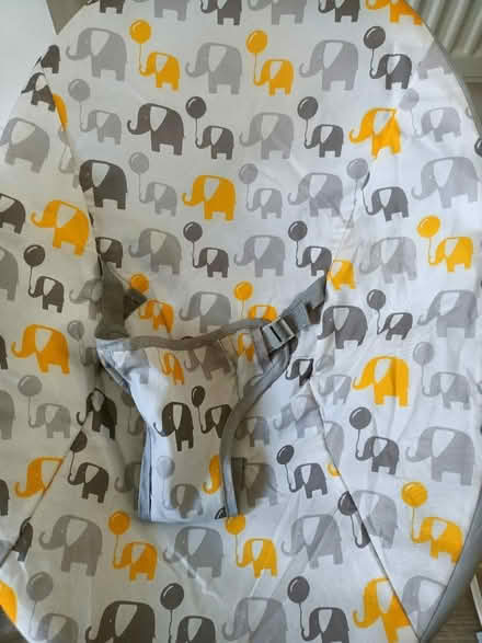 Photo of free Baby bouncer chair (Cheetham Hill M8) #2