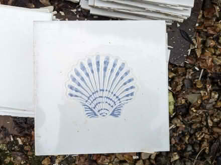 Photo of free Bathroom tiles - shell design and plain (Llansantffraid SY22) #3