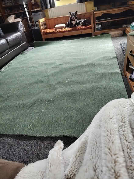 Photo of free two new large carpet offcuts (Kendal) #1