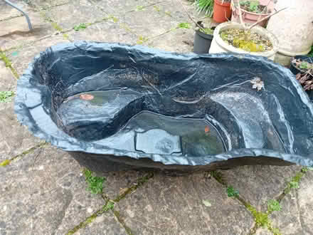 Photo of free Rigid pond liner (Wellington somerset) #1
