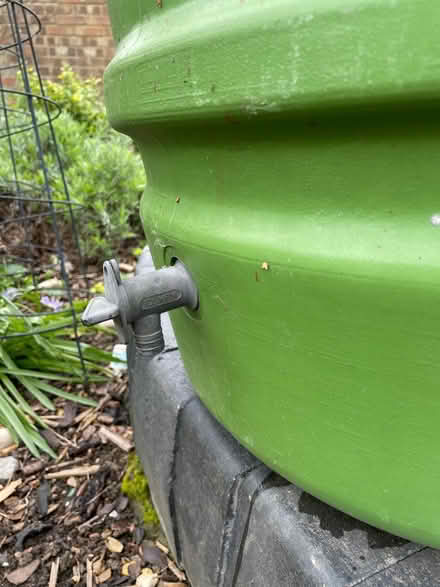 Photo of free 200 litre water butt with stand (Brickhill, Bedford) #2
