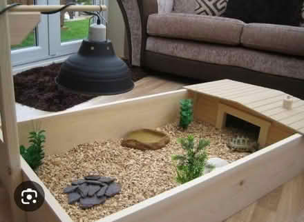 Photo of Tortoise table (Stocksbridge S36) #1