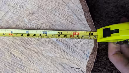 Photo of free Log Slices 3nr. approx 34cm (Ashford - TW15) #2