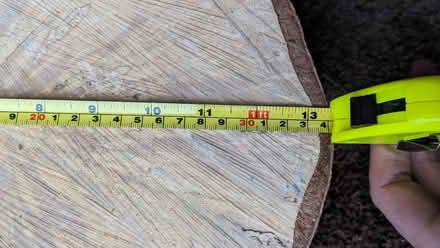 Photo of free Log Slices 3nr. approx 34cm (Ashford - TW15) #2