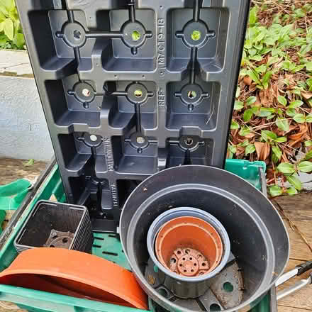 Photo of free Garden/house pots, Wildflower seed (Dublin15 Carpenterstown) #1