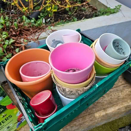 Photo of free Garden/house pots, Wildflower seed (Dublin15 Carpenterstown) #2