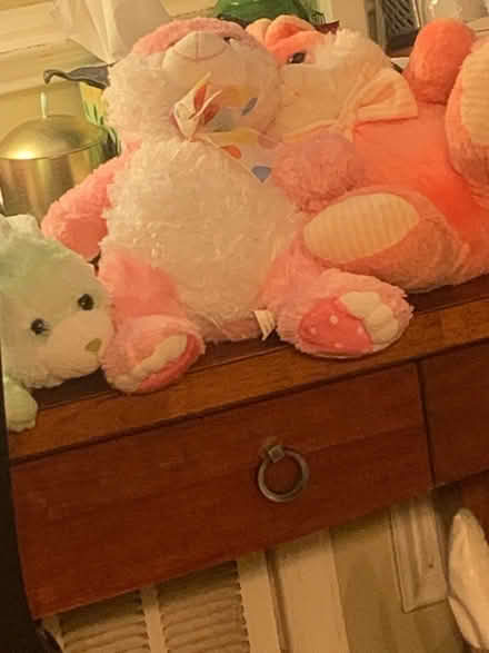 Photo of free Easter Extravaganza (Landover hills) #2
