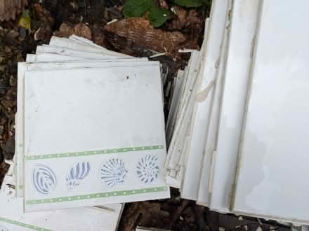 Photo of free Bathroom tiles - shell design and plain (Llansantffraid SY22) #2